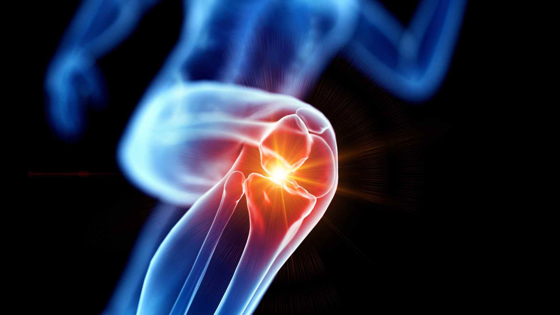 Image de l'anatomie de l'articulation du genou : meilleurs exercices de renforcement du genou