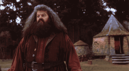 Robbie Coltrane, l'acteur et comédien qui jouait Hagrid dans les films Harry Potter, décède à 72 ans
