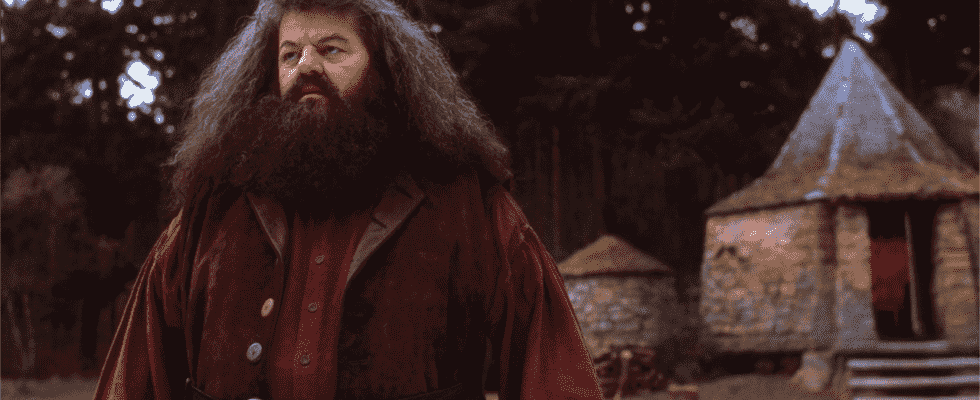 Robbie Coltrane, l'acteur et comédien qui jouait Hagrid dans les films Harry Potter, décède à 72 ans