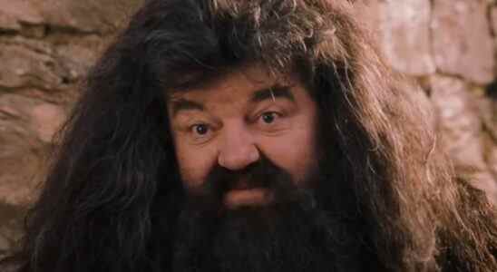 Robbie Coltrane smiles knowingly as Hagrid in Harry Potter and the Sorcerer