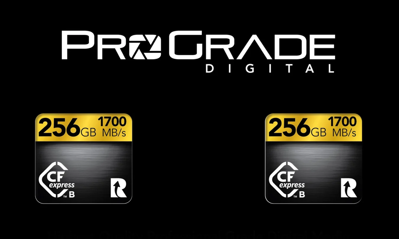 ProGrade 256 Go CFexpress 2.0 Type B Or