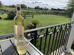 Déguster du White Rabbit 2021 au Waupoos Estate Winery à Picton.  JANE STEVENSON/SOLEIL DE TORONTO