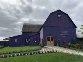 Closson Chase Vineyards à Hillier, en Ontario, et sa grange mauve caractéristique.  JANE STEVENSON/SOLEIL DE TORONTO