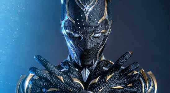 Black Panther: le nouveau héros de Wakanda Forever prend vie sous la forme d'un superbe objet de collection Hot Toys