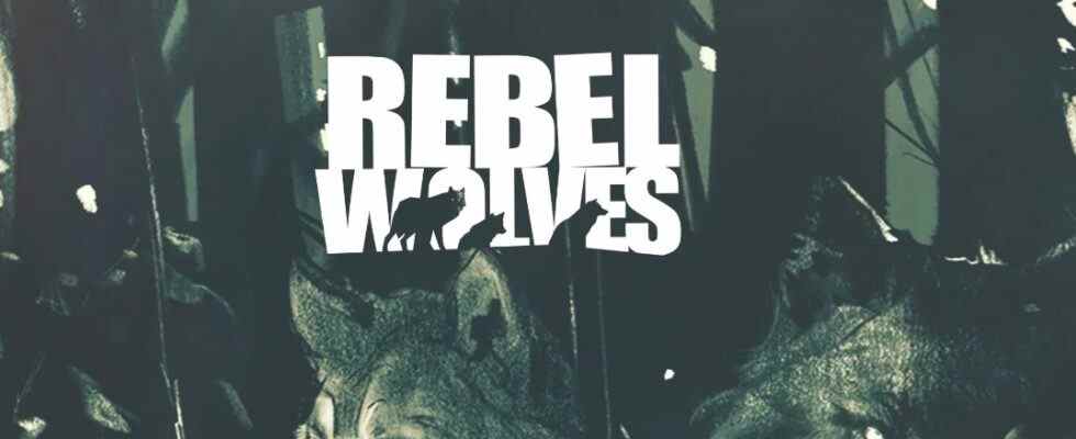 NetEase Games acquiert une participation minoritaire dans le studio polonais Rebel Wolves – Destructoid