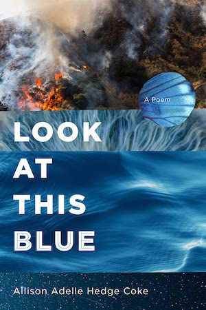 Regardez la couverture du livre This Blue par Allison Adelle Hedge Coke