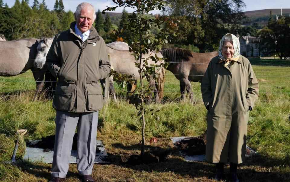 Le Queen's Green Canopy était une initiative qui invitait les gens à planter des arbres pour marquer le jubilé de platine de la reine Elizabeth II - Andrew Milligan/AFP