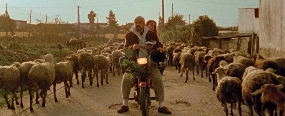 '21 Paraíso', l'impact de Charting OnlyFans sur l'amour d'un couple, premières mondiales au Festival du film européen de Séville (EXCLUSIF) Les plus populaires doivent être lus