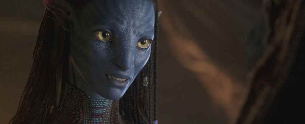 James Cameron qualifie Avatar : La voie de l'eau de "pire analyse de rentabilisation de l'histoire du cinéma"