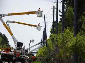 Les travailleurs des services publics utilisent des élévateurs à godets pour réparer les lignes électriques à Ottawa, après qu'une puissante tempête de vent en mai dernier a frappé diverses régions de l'Ontario.