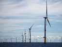 Le parc éolien offshore de Saint-Nazaire, au large de la presqu'île de Guérande dans l'ouest de la France, compte 80 éoliennes.