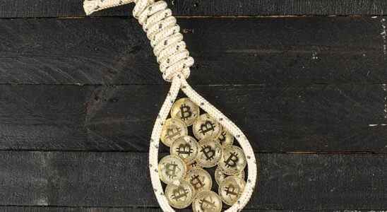 A bunch of bitcoin in a noose.