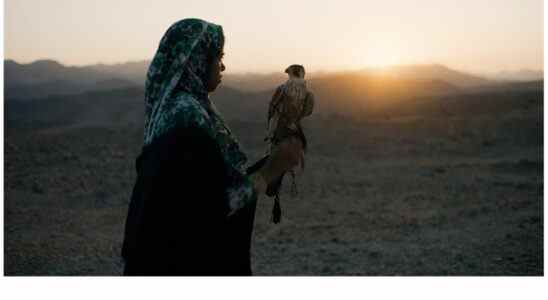 "The Falconer", premier film international tourné à Oman, prévu pour une sortie au Moyen-Orient via Front Row (EXCLUSIF) Les plus populaires doivent être lus Inscrivez-vous aux newsletters Variety Plus de nos marques