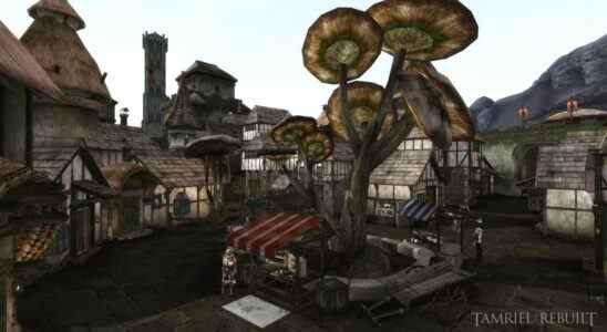 Un mod Morrowind de 20 ans extrêmement ambitieux ajoute deux nouvelles régions majeures