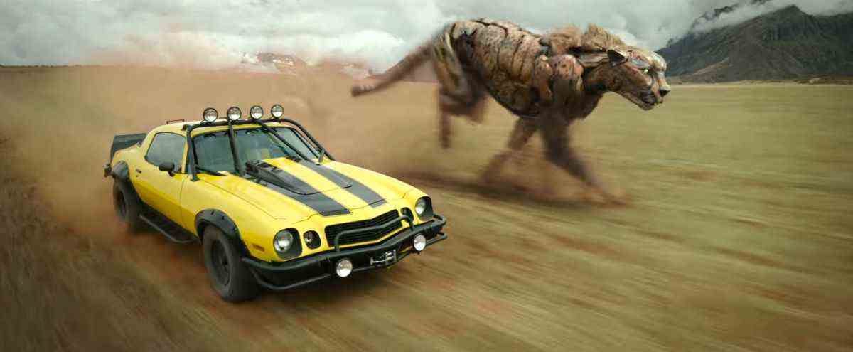 Bumblebee sous forme de voiture tout-terrain et Cheetor ressemblant à un petit robot guépard s'affrontent dans un champ ouvert dans Transformers: Rise of the Beasts