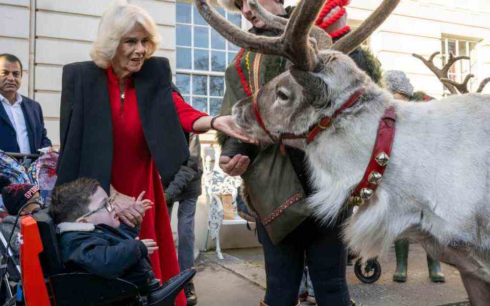La reine consort aide un enfant à nourrir un renne de lichen – PA
