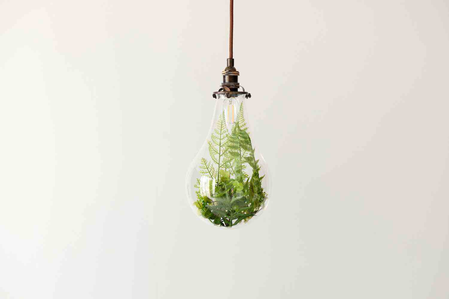Une image composite d'un terrarium à l'intérieur d'une ampoule nue et suspendue.