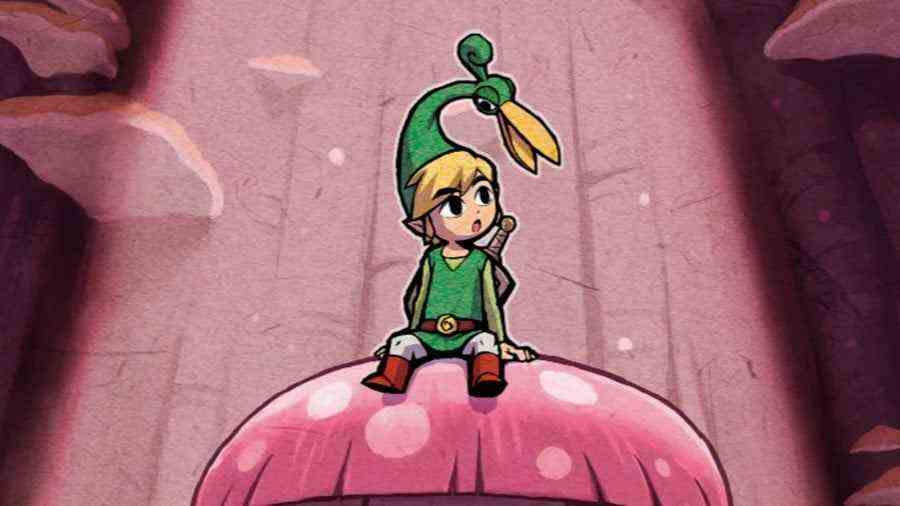 La Légende de Zelda : La Casquette Minish