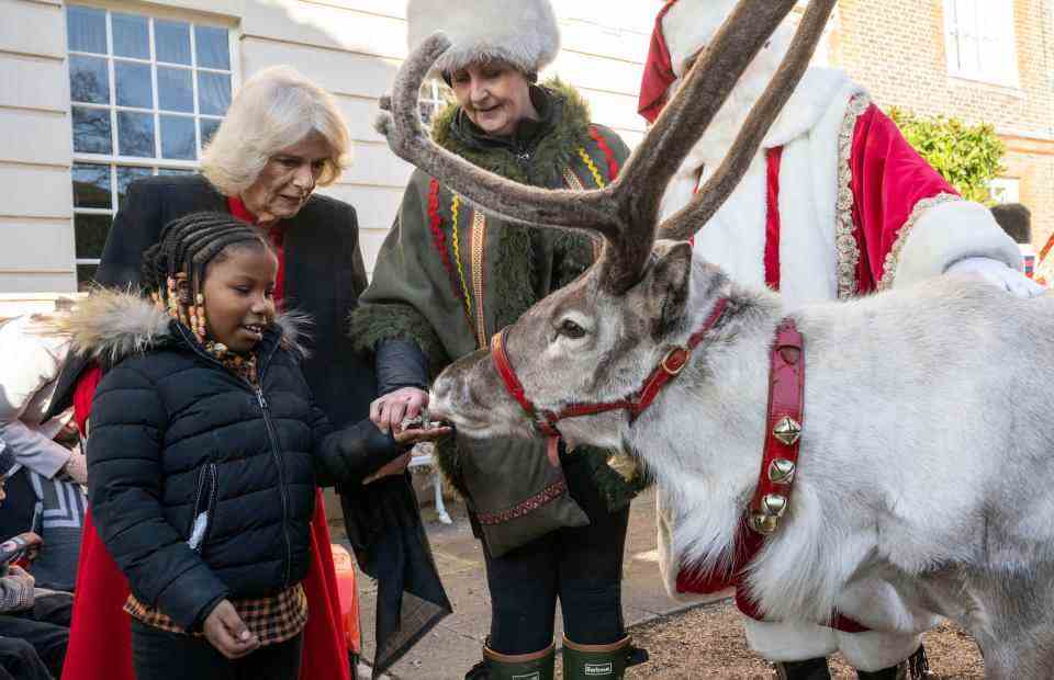 La britannique Camilla, Queen Consort (2L) aide Mayann MacNeil-Thompson, sept ans, à nourrir « Blixen » le renne lors de sa réception annuelle pour les jeunes et leurs soignants de Helen and Douglas House et Roald Dahl's Marvelous Children's Charity pour décorer l'arbre de Noël à Clarence House, à Londres le 7 décembre 2022. (Photo by Paul Grover / POOL / AFP) (Photo by PAUL GROVER/POOL/AFP via Getty Images)