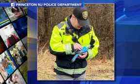 L'agent de contrôle des animaux Jim Ferry du département de police de Princeton, NJ, a trouvé un perroquet en céramique après que l'appelant a signalé un perroquet lâche dans un arbre en mars.  DOCUMENT DU DÉPARTEMENT DE POLICE DE PRINCETON NJ