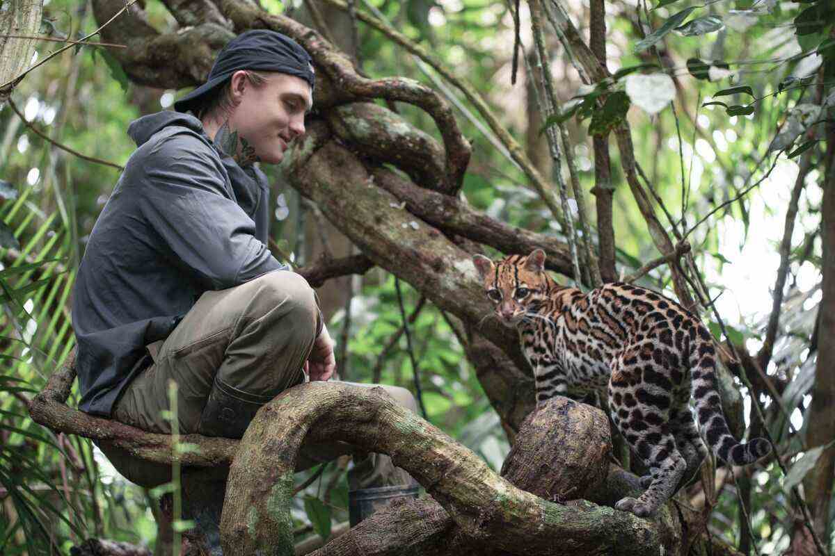 Un jeune homme portant un chapeau à l'envers et un sweat à capuche se prélasse dans les arbres avec un bébé ocelot dans Wildcat.