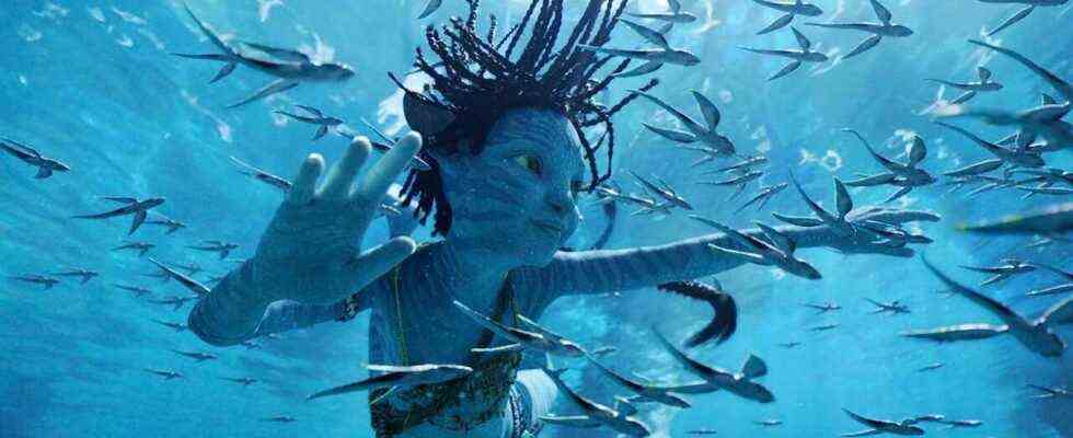Après 13 ans, les premières avant-premières d'Avatar: The Way Of Water rapportent 17 millions de dollars