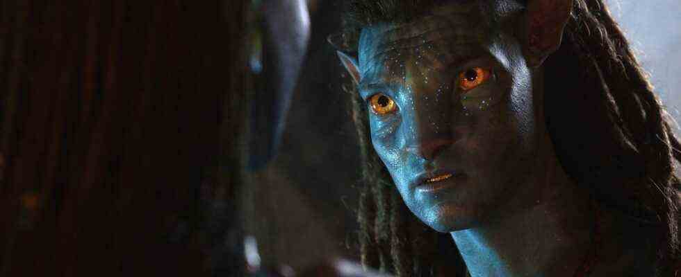 Avatar : The Way of Water n'obtient pas de coupe de réalisateur