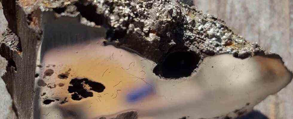 Deux minéraux extraterrestres ont été découverts dans une météorite