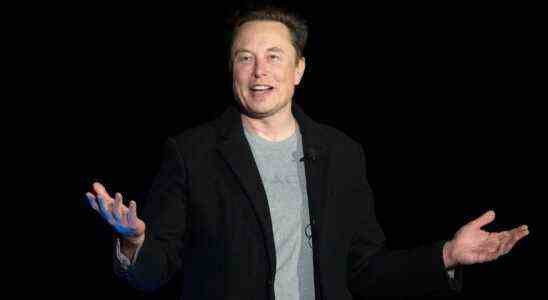 Elon Musk dit que les utilisateurs de Twitter peuvent décider s'il démissionne, et ils ont dit qu'il devrait