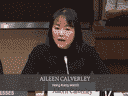 Aileen Calverley de Hong Kong Watch témoigne devant un comité de la Chambre des communes concernant des rapports selon lesquels la République populaire de Chine a ouvert trois postes de police autour de Toronto. 