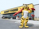 Tigre Géant exploite plus de 260 magasins entre l'Alberta et l'Île-du-Prince-Édouard, la plupart en Ontario et au Québec.