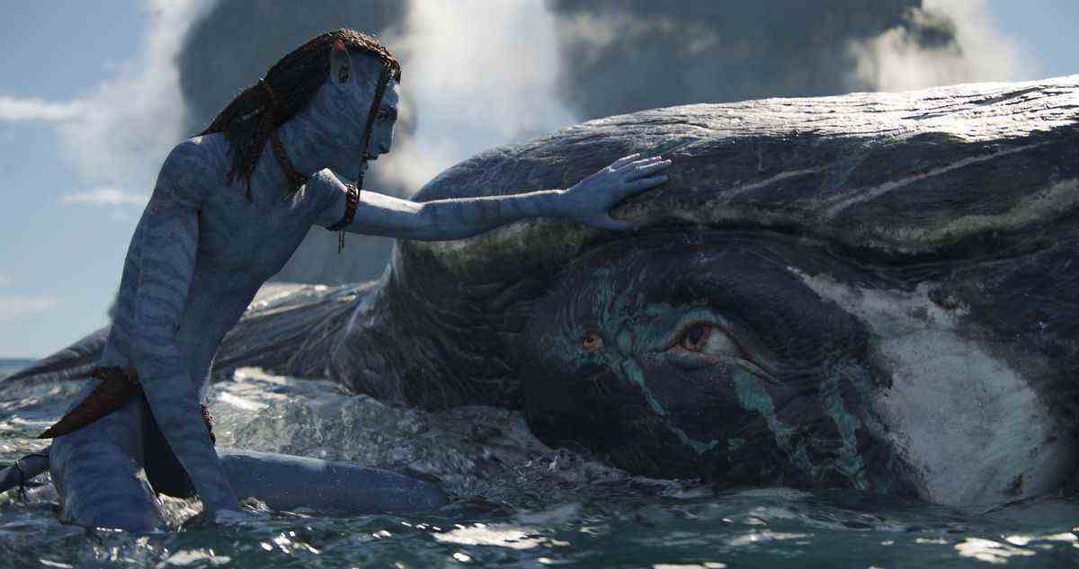 Lo'ak le Na'vi touche une nouvelle créature aquatique ressemblant à une baleine dans la mer de Pandore dans Avatar: The Way of Water