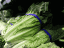 La laitue romaine est affichée sur une étagère de supermarché.  Le prix de la salade verte a fortement augmenté au Canada en raison d'une pénurie d'importations en provenance de la Californie, où la récolte de cet automne a été touchée par la maladie.