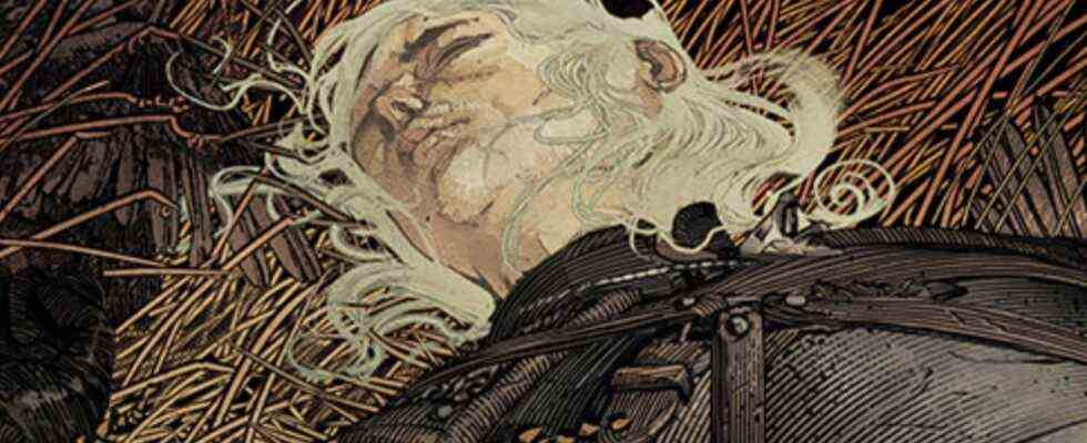 The Witcher Omnibus Volume 2 annoncé par Dark Horse Comics