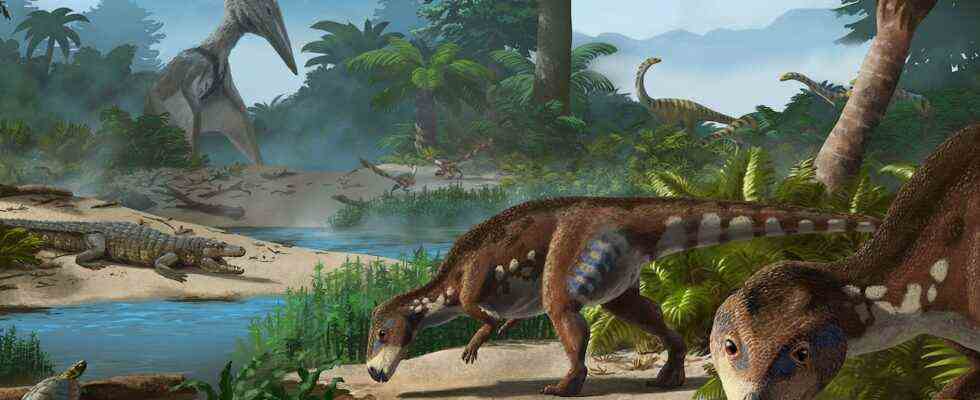 Un nouveau dinosaure a été découvert en Transylvanie