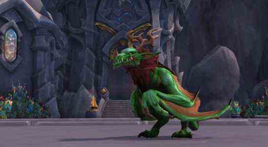 World of Warcraft : Dragonriding de Dragonflight est (presque) trop beau