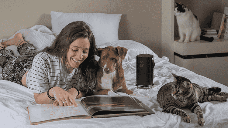 Une jeune femme lisant sur un lit avec un chien et deux chats à côté du haut-parleur Acer Halo Swing.
