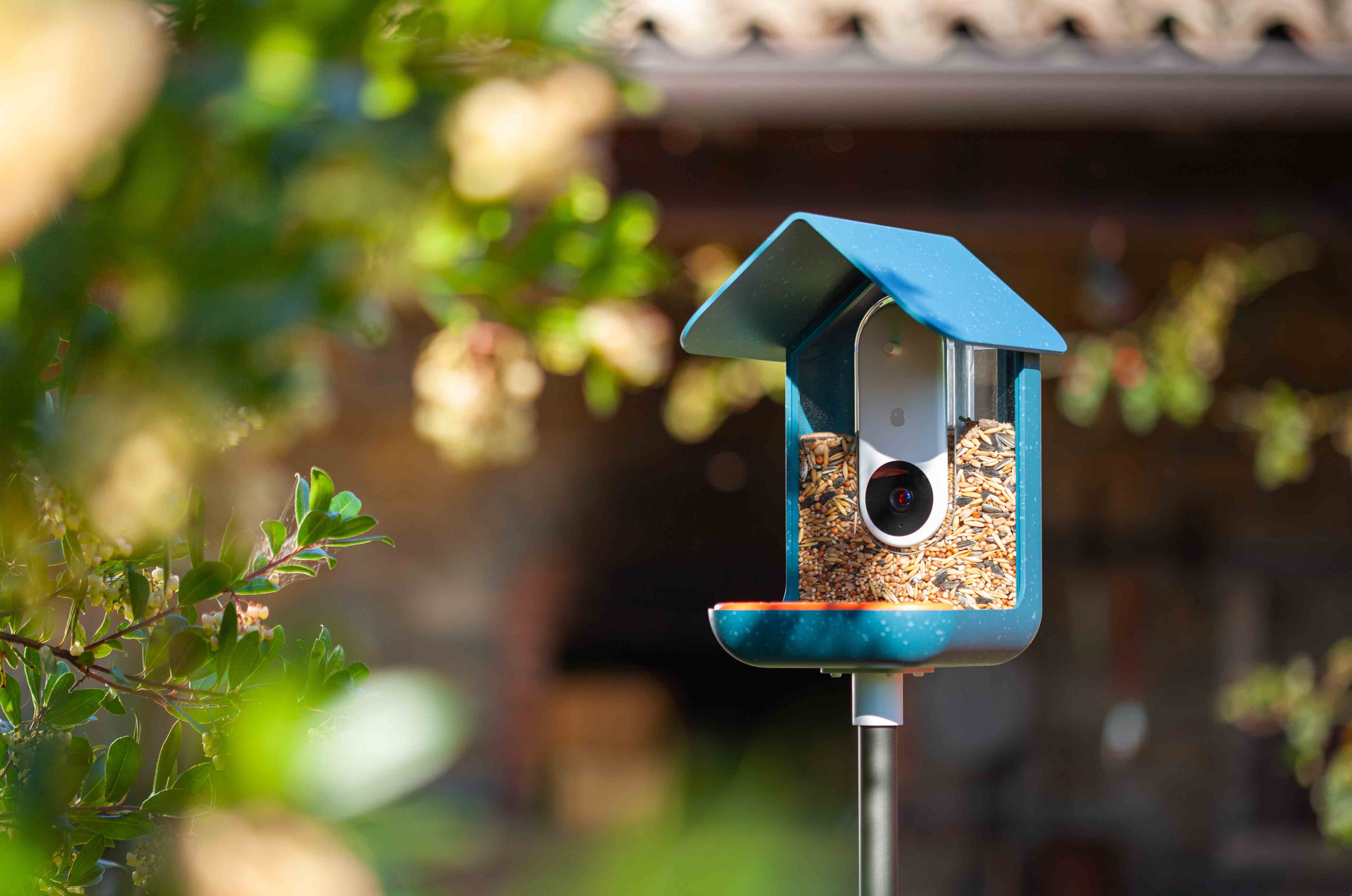 Image de la mangeoire à oiseaux dans un jardin ensoleillé.