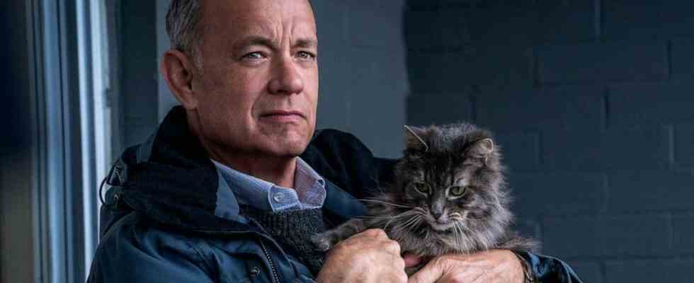 Tom Hanks holds a fluffy grey cat in A Man Called Otto.