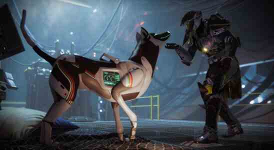 L'exo-chien de Destiny 2 a un nom et une histoire de développement humoristique