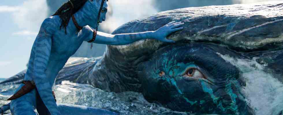 Avatar: The Way Of Water est sur le point d'atteindre le seuil de rentabilité alors que son total au box-office mondial atteint 1,38 milliard de dollars