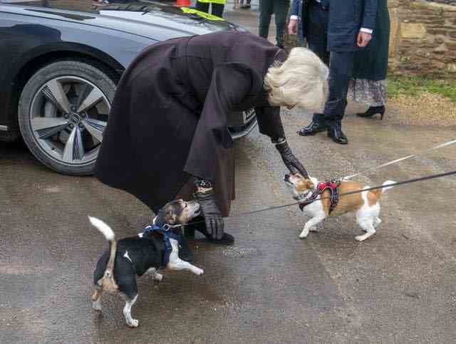 La reine consort avec ses chiens de sauvetage Bluebell (à droite) et Beth (à gauche) à Lacock (Arthur Edwards/The Sun/PA)