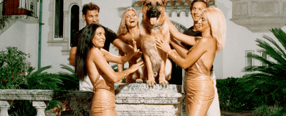Le dernier documentaire de style Tiger King de Netflix parle d'un chien multimillionnaire