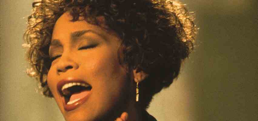 "Whitney Houston Hotel" sera lancé par Singer's Estate, Primary Wave et Sony pendant la semaine des Grammys