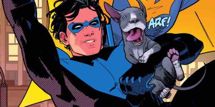 Image de Nightwing et son chien