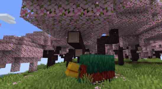 Minecraft - A sniffer stands beneath pink leaved cherry blossom trees