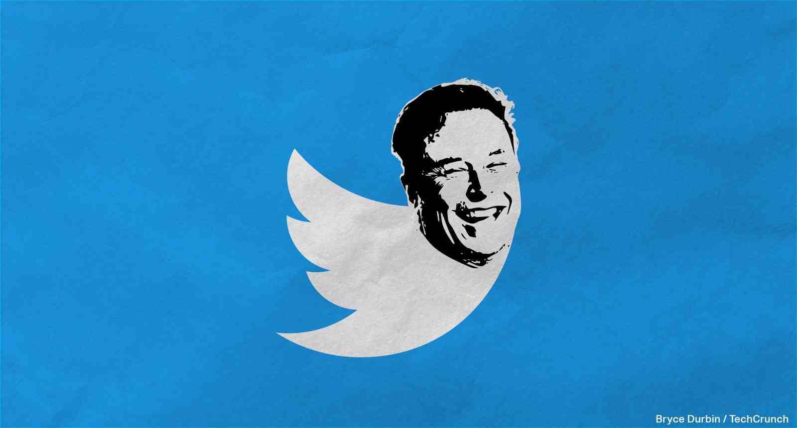 Logo oiseau Twitter avec la tête d'Elon Musk