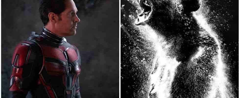 Ant-Man and the Wasp: Quantumania retient l'ours cocaïne pour sa deuxième victoire au box-office du week-end