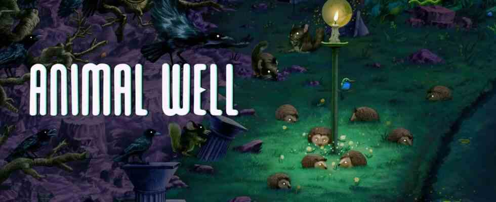 Bande-annonce "Gameplay" d'Animal Well