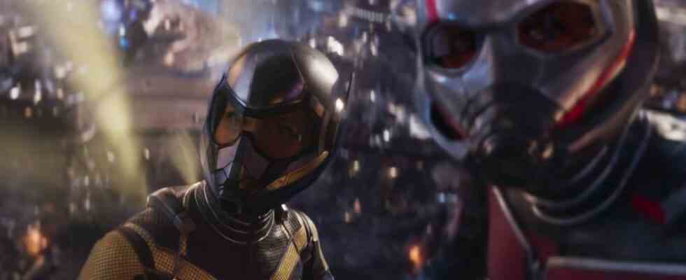 Evangeline Lilly dit que le directeur d'Ant-Man lui a dit d'ignorer les rumeurs selon lesquelles elle serait licenciée au milieu de la controverse